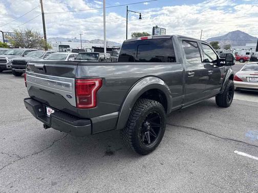 Magnetic Metallic 2017 Ford F-150 Platinum
