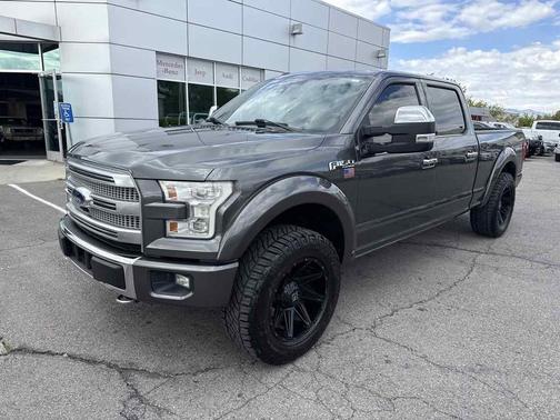 Magnetic Metallic 2017 Ford F-150 Platinum