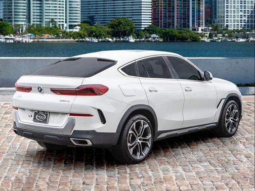 Alpine White 2020 BMW X6 sDrive40i