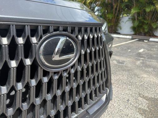 Cloudburst Gray 2024 Lexus NX 250 Base