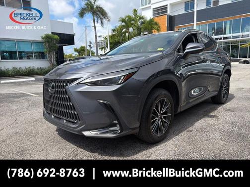 Cloudburst Gray 2024 Lexus NX 250 Base