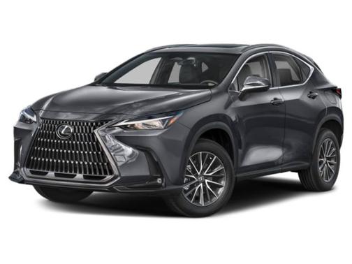 Cloudburst Gray 2024 Lexus NX 250 Base