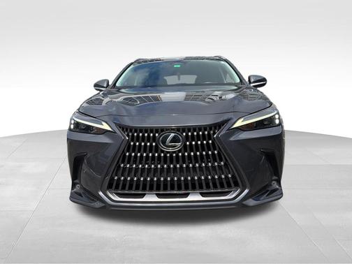 Cloudburst Gray 2024 Lexus NX 250 Base