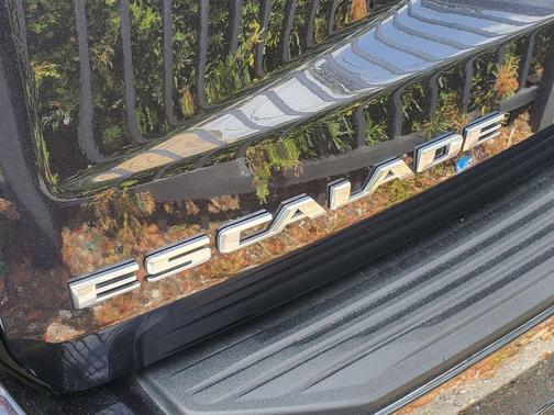 Galactic Gray Metallic 2025 Cadillac Escalade Premium Luxury