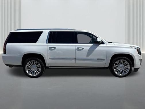 2020 Cadillac Escalade ESV Platinum