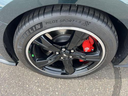 Dark Highland Green 2019 Ford Mustang Bullitt