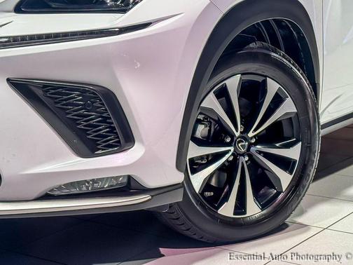 2020 Lexus NX 300 F Sport