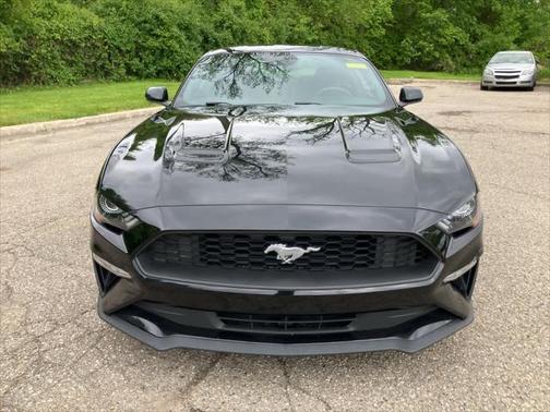 2022 Ford Mustang EcoBoost