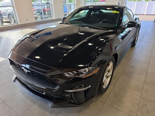 Shadow Black 2019 Ford Mustang EcoBoost
