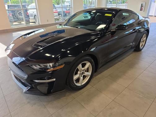 Shadow Black 2019 Ford Mustang EcoBoost