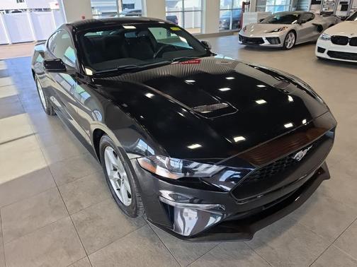 Shadow Black 2019 Ford Mustang EcoBoost