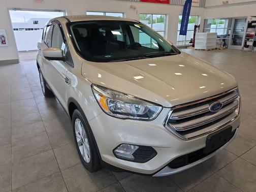 White Gold Metallic 2017 Ford Escape SE