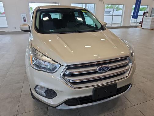White Gold Metallic 2017 Ford Escape SE
