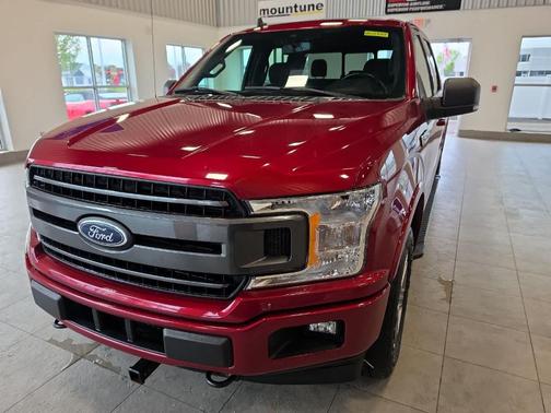 Ruby Red Metallic Tinted Clearcoat 2019 Ford F-150 XLT