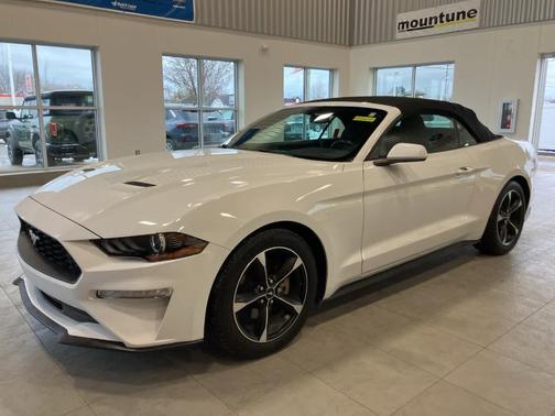 2019 Ford Mustang EcoBoost