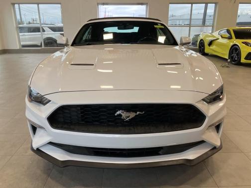2019 Ford Mustang EcoBoost