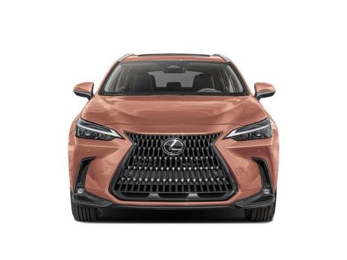 2024 Lexus NX 350 AWD
