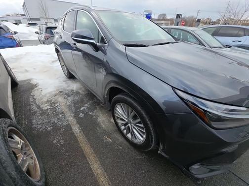 2024 Lexus NX 350 Luxury