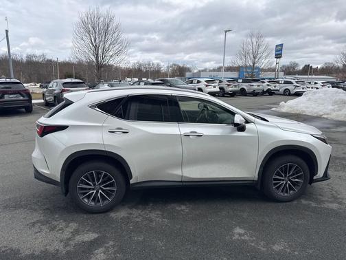 2024 Lexus NX 250 Base