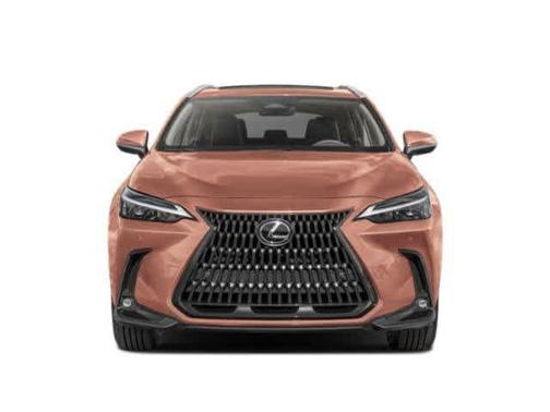 2025 Lexus NX 350 AWD