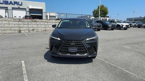 2025 Lexus NX 350 Luxury