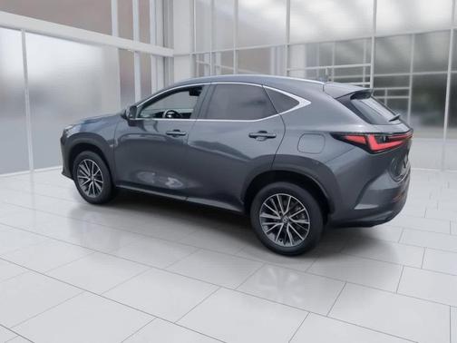 Cloudburst Gray 2025 Lexus NX 350 AWD