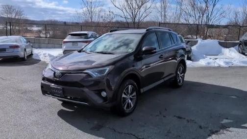 Black Currant Metallic 2018 Toyota RAV4 XLE