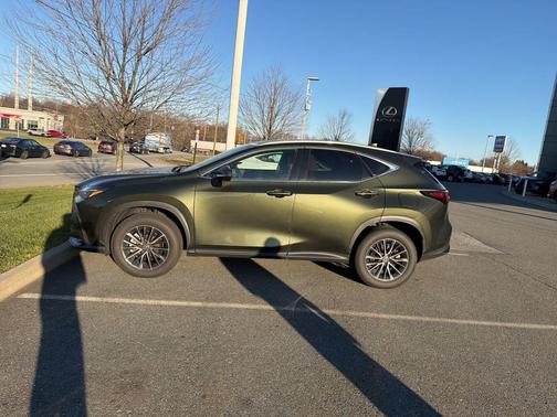 2025 Lexus NX 350h Premium