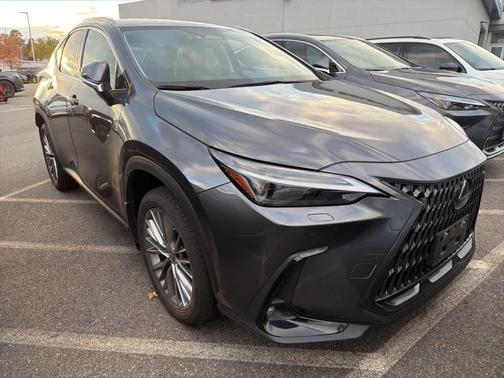2023 Lexus NX 350 Luxury