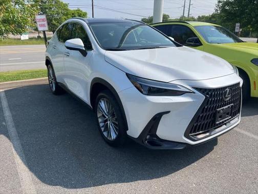 2024 Lexus NX 350 Luxury