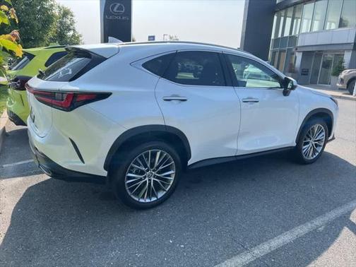 2024 Lexus NX 350 Luxury