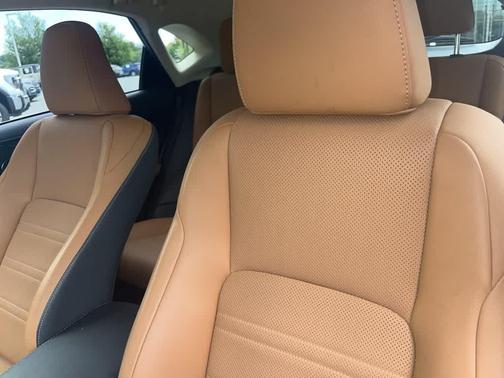 2019 Lexus NX 300 F Sport