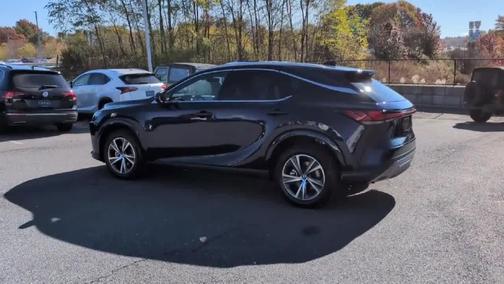 2025 Lexus RX 350 Premium