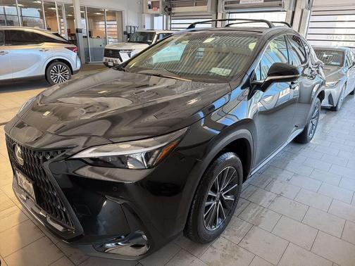 2025 Lexus NX 350 Premium