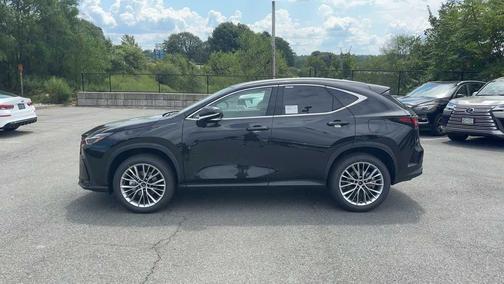 2025 Lexus NX 350 Luxury
