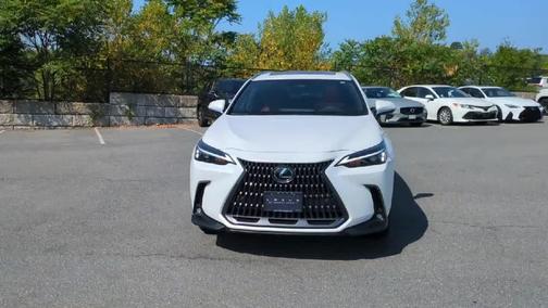 2025 Lexus NX 350h Premium
