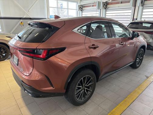 2025 Lexus NX 350h Premium