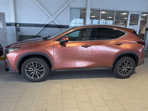 2025 Lexus NX 350h Premium