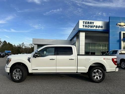 2022 Ford F-150 Platinum