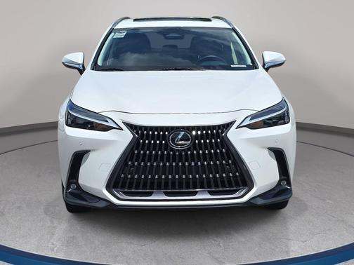 Eminent White Pearl 2024 Lexus NX 250 Premium