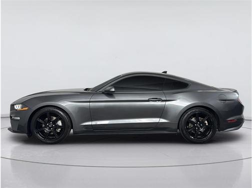 Magnetic Metallic 2020 Ford Mustang EcoBoost