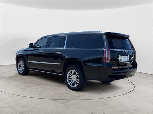 Black Raven 2020 Cadillac Escalade ESV Platinum