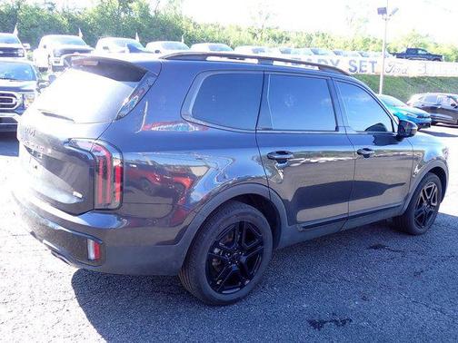 Panthera Metal 2025 Kia Telluride SX Prestige X-Line