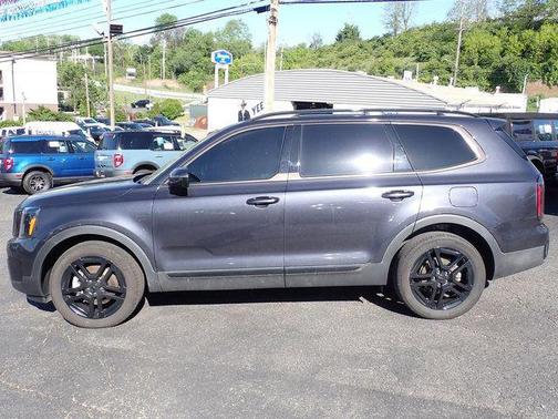 Panthera Metal 2025 Kia Telluride SX Prestige X-Line