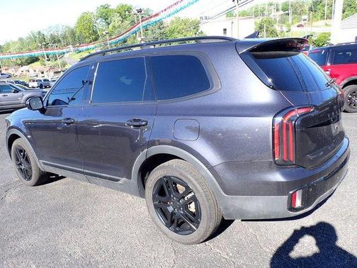 Panthera Metal 2025 Kia Telluride SX Prestige X-Line