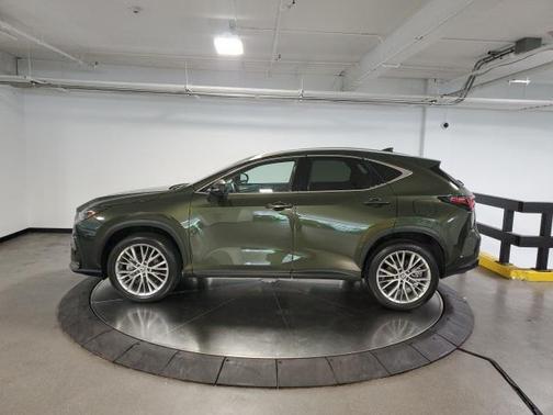 2025 Lexus NX 350 Premium
