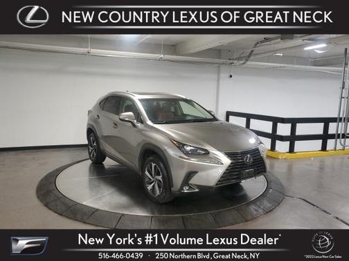 2019 Lexus NX 300 F Sport