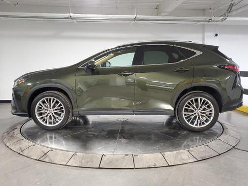 2023 Lexus NX 350h Premium