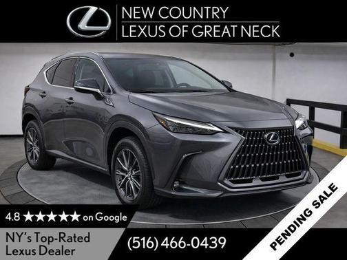 Cloudburst Gray 2023 Lexus NX 350 Premium