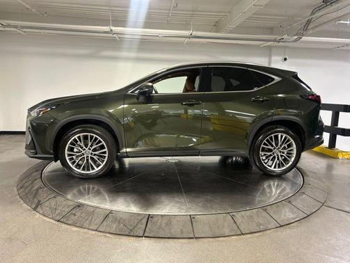 Green Pearl 2026 Lexus NX 350 Premium
